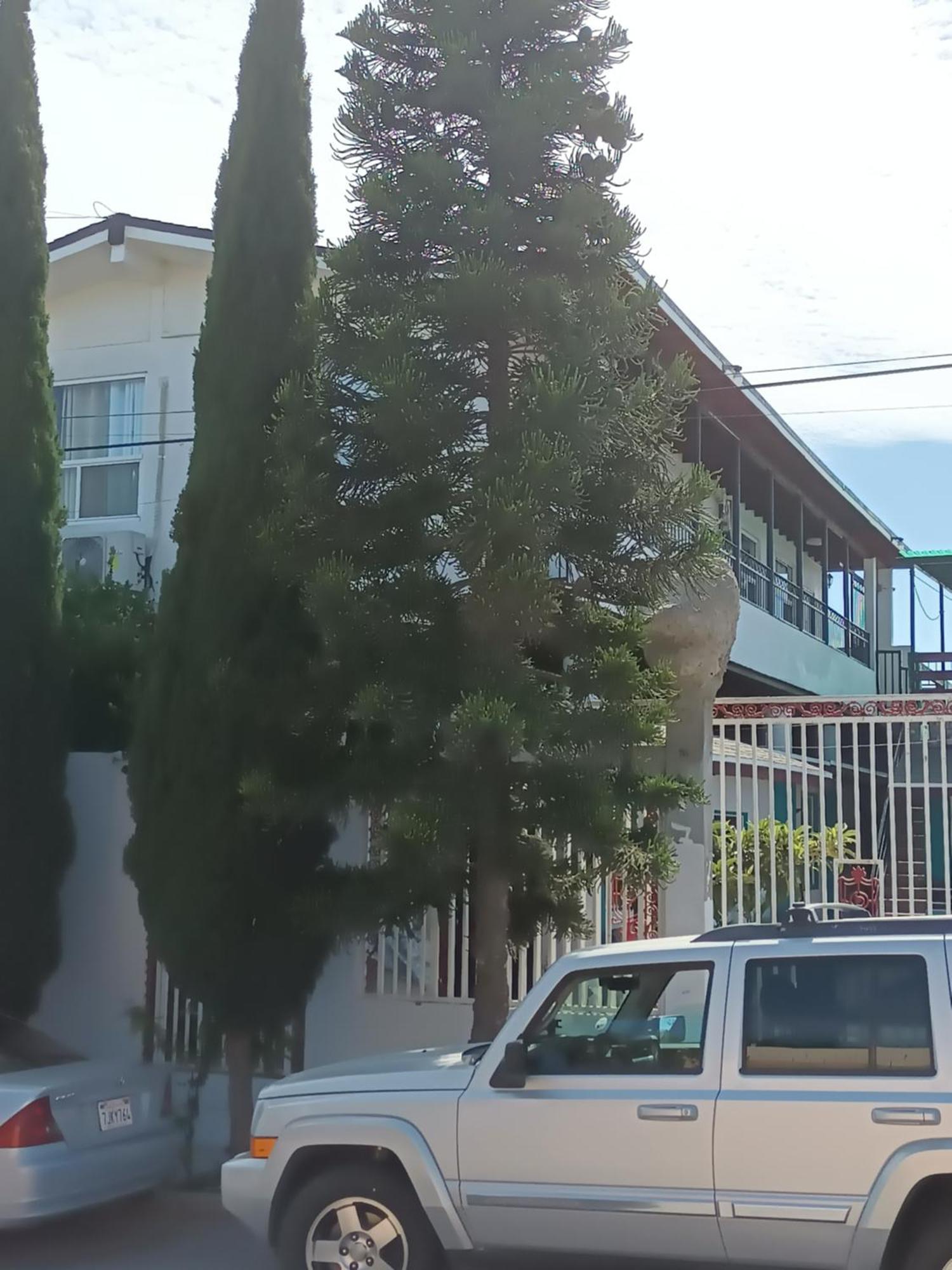 Apartamentos Rosarito.!! Con Vista Al Mar ! エクステリア 写真
